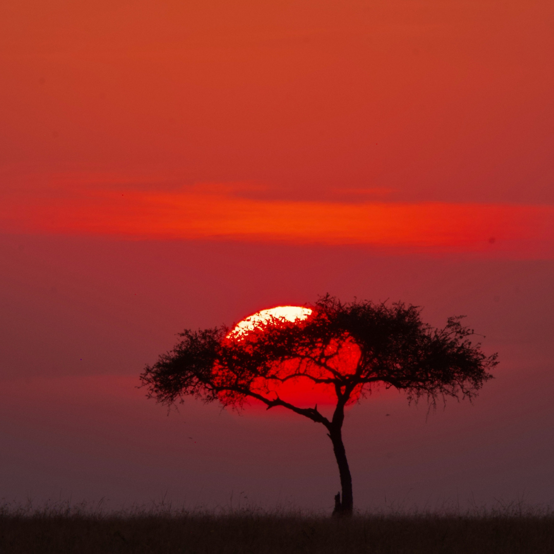 country-image